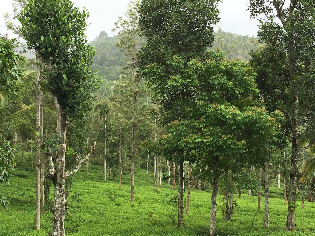 Вілла Harmony Farm Wayanad Султан-Батері Екстер'єр фото
